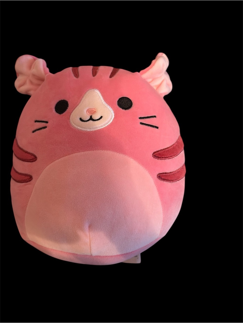 Squishmallows Geraldine Pink Cat Plush